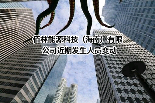 佰林能源科技（海南）有限公司