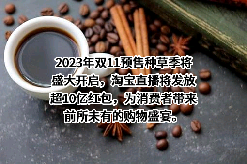 淘宝（中国）软件有限公司