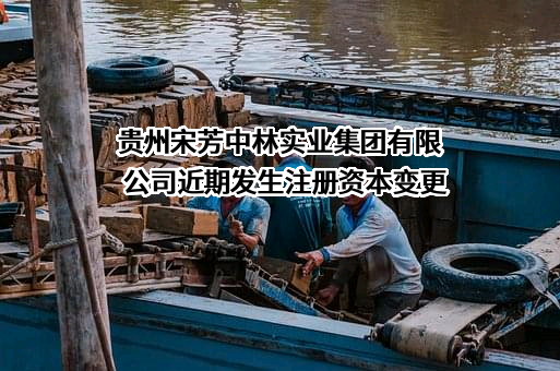 贵州宋芳中林实业集团有限公司