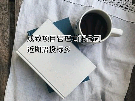 成致项目管理有限公司近期招投标项目多