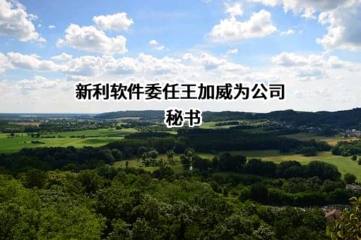 杭州新利软件有限公司