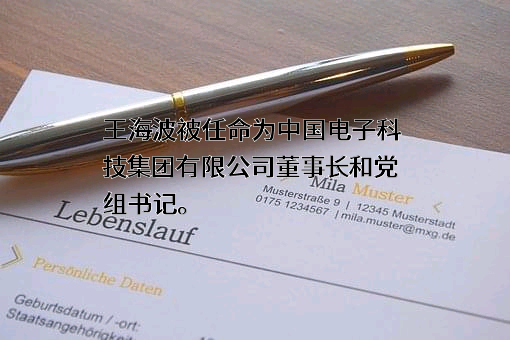 中国电子科技集团有限公司