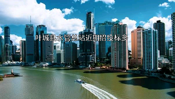 叶城县水管总站