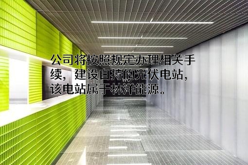 上海舜华新能源系统有限公司