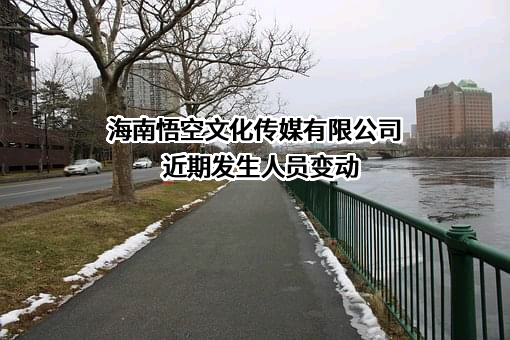 海南悟空文化传媒有限公司