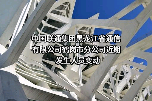 中国联通集团黑龙江省通信有限公司鹤岗市分公司