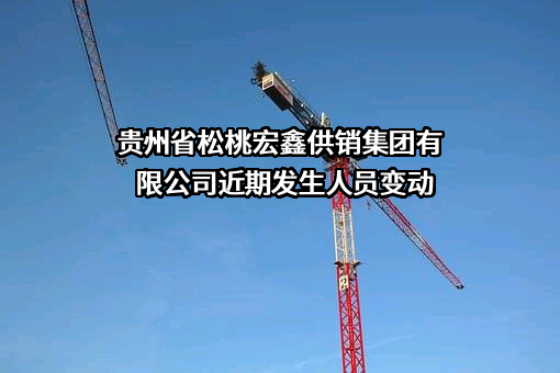 贵州省松桃宏鑫供销集团有限公司