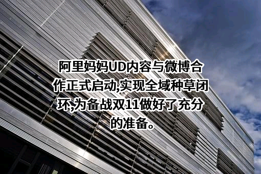 新浪网技术（中国）有限公司