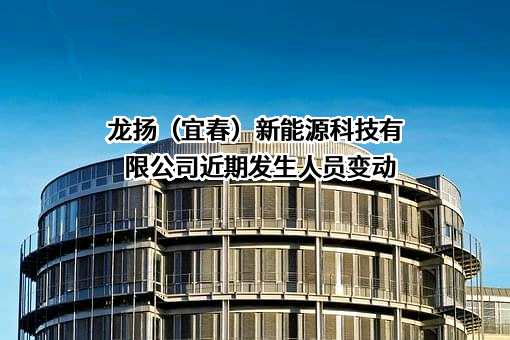 龙扬（宜春）新能源科技有限公司