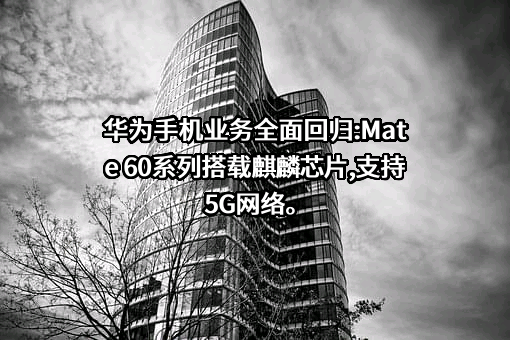 华为技术有限公司