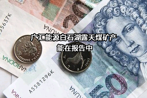 广汇能源股份有限公司