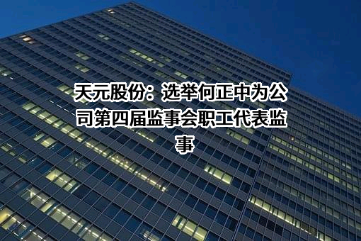 广东天元实业集团股份有限公司