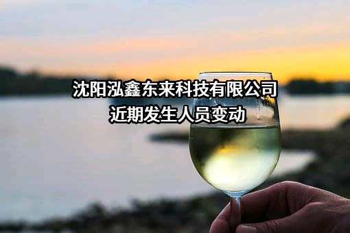 沈阳泓鑫东来科技有限公司