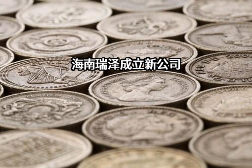 海南瑞泽新型建材股份有限公司
