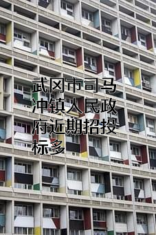 武冈市司马冲镇人民政府