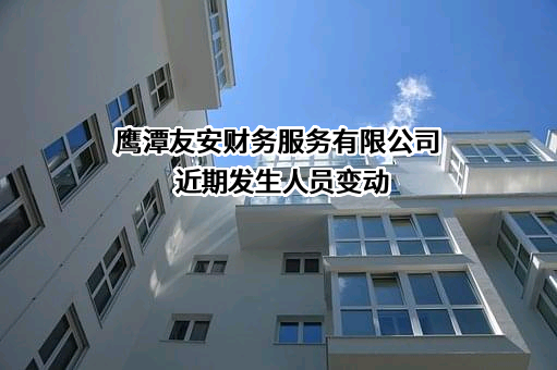 鹰潭友安财务服务有限公司