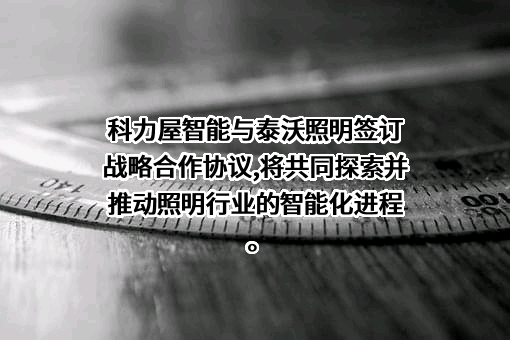 广东泰而沃照明科技有限公司