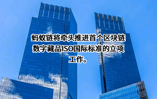 蚂蚁链（上海）数字科技有限公司