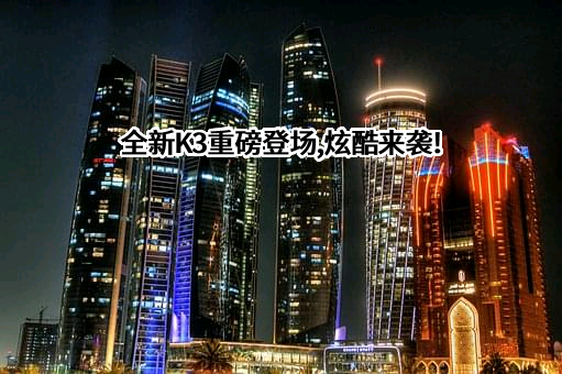 现代汽车（中国）投资有限公司