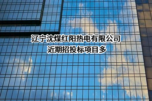 辽宁沈煤红阳热电有限公司近期招投标项目多