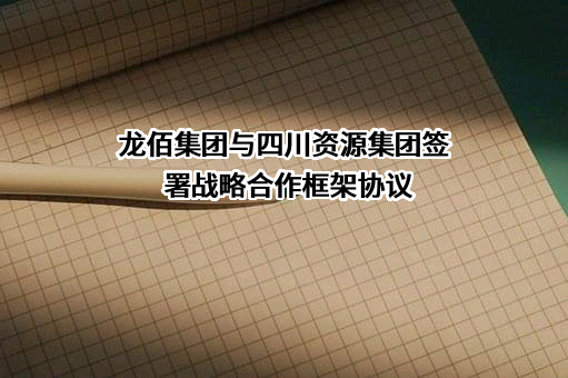 龙佰集团股份有限公司