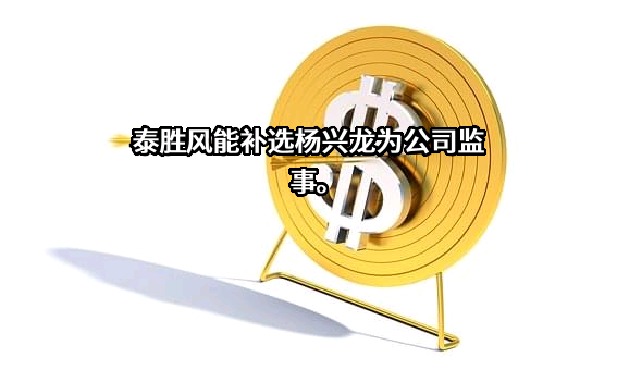 上海泰胜风能装备股份有限公司