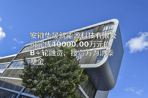 安徽华晟新能源科技有限公司