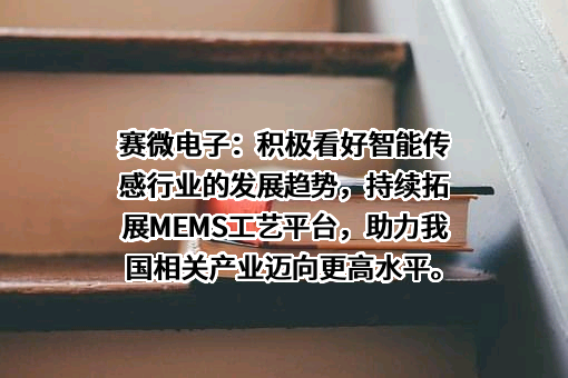 北京赛微电子股份有限公司