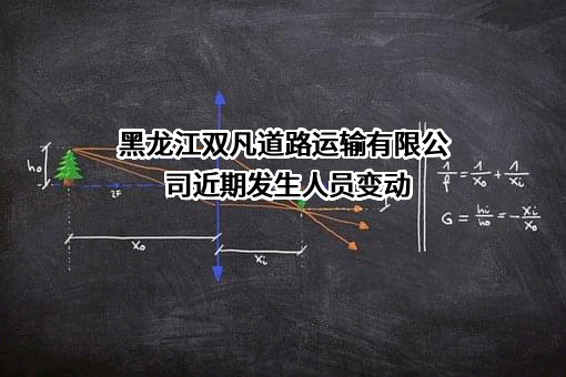 黑龙江双凡道路运输有限公司