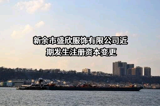 新余市盛欣服饰有限公司