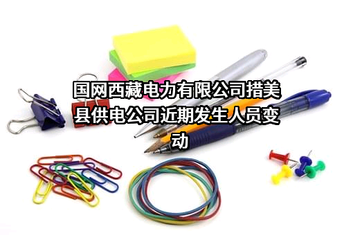 国网西藏电力有限公司措美县供电公司