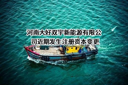 河南大好双宇新能源有限公司