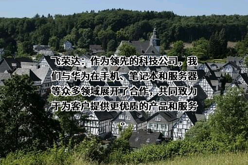 深圳市飞荣达科技股份有限公司