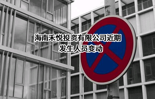 海南禾悦投资有限公司