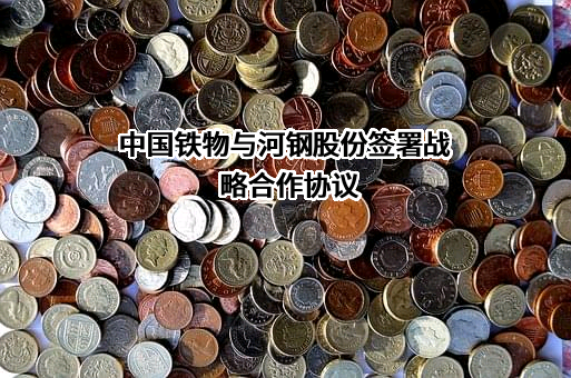 中国铁路物资股份有限公司