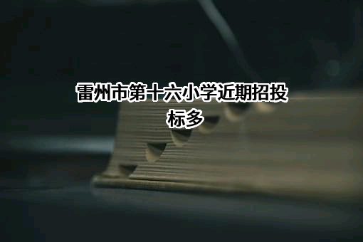 雷州市第十六小学