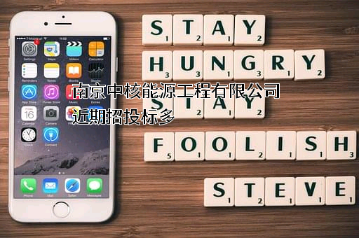 南京中核能源工程有限公司