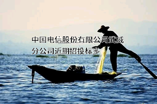 中国电信股份有限公司武威分公司