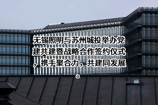 无锡照明股份有限公司