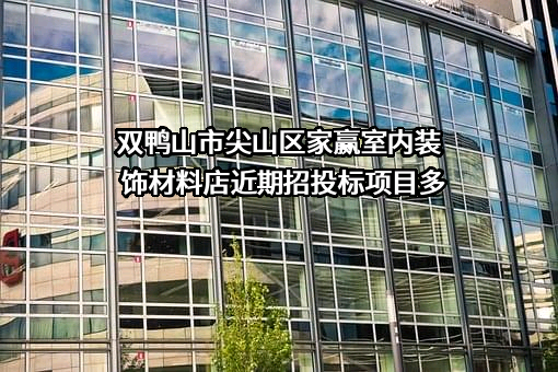 双鸭山市尖山区家赢室内装饰材料店