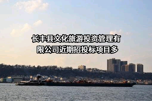 长丰县文化旅游投资管理有限公司近期招投标项目多