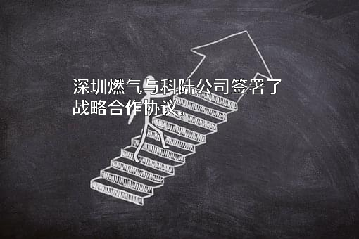 深圳市燃气集团股份有限公司