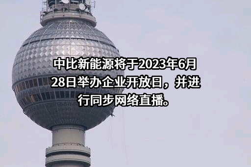 中比新能源科技有限公司