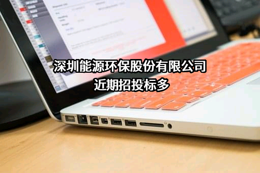 深圳能源环保股份有限公司