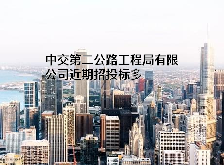 中交第二公路工程局有限公司