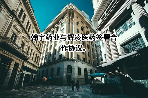 深圳翰宇药业股份有限公司