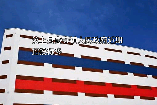 汶上县寅寺镇人民政府