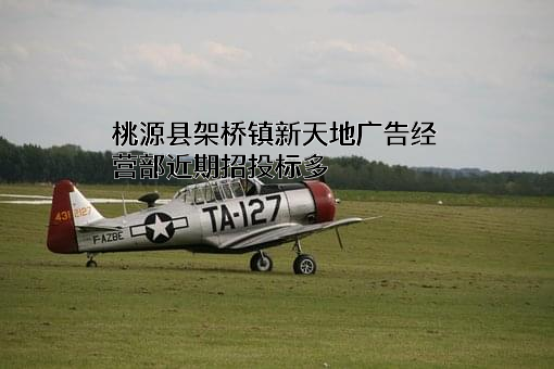 桃源县架桥镇新天地广告经营部