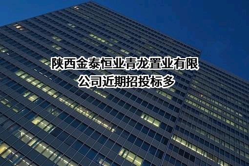 陕西金泰恒业青龙置业有限公司