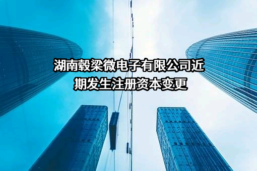 湖南毂梁微电子有限公司